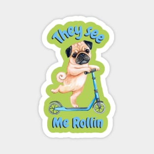 Pug on a Scooter. They see me rollin Magnet