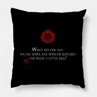 Raise a little hell Pillow