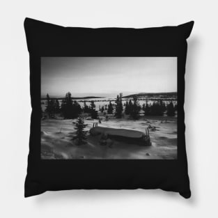 Black and White Shot of Foggy Fir Tree Backcountry in Norway Pillow