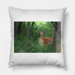 Forest Fawn - White-tailed deer Pillow