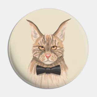 Serious cat. Pin