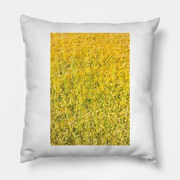 Texture - Golden Grass Pillow by PorinArt