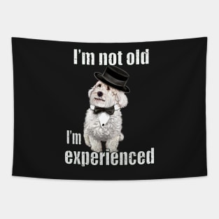 I’m not old I’m classic experienced funny humor getting older joke Cavapoo puppy dog Tapestry