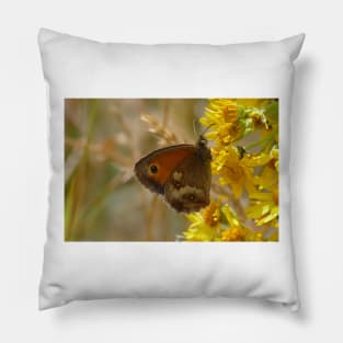 Meadow Pillow