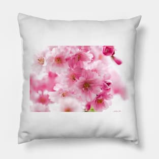 Cherry blossom flowers Pillow