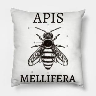 Apis Mellifera Pillow