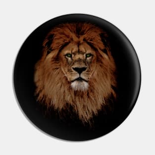 Lion Art Pin