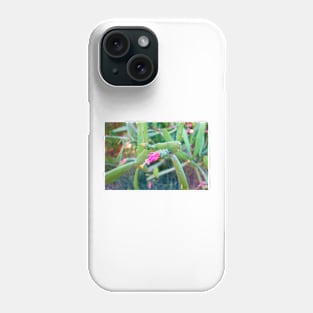 Desert Study 29 Phone Case