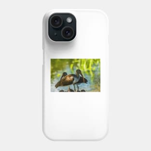 white ibis 2 Phone Case