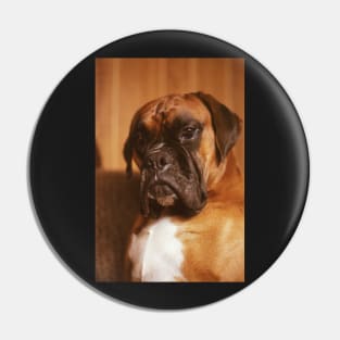 the boxer Pin