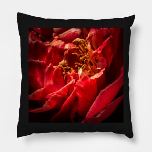 Camelia Close Up Pillow