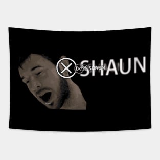 Shaun! Tapestry