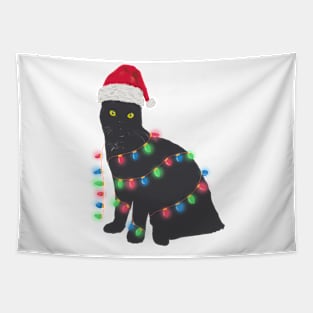 Cat Lights Tapestry