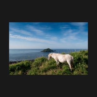 Mewstone Island and Dartmoor Pony T-Shirt