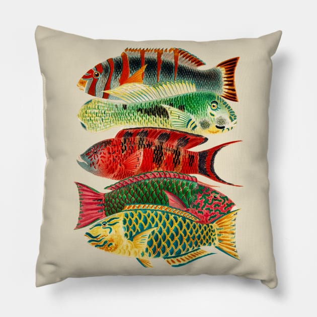Tropical Fish Pillow by Heartsake