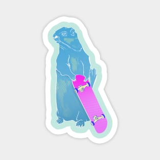 Marmot Skateboarding Magnet