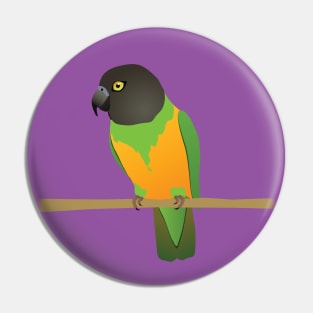 Senegal parrot Pin