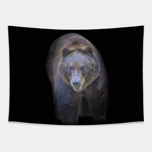 Grizzly Bear Animal Wildlife Forest Nature Adventure Hunt Spotlight Digital Painting Tapestry