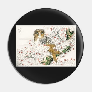 Japanese Short-eared Owl Water color Numata Kashu Pin