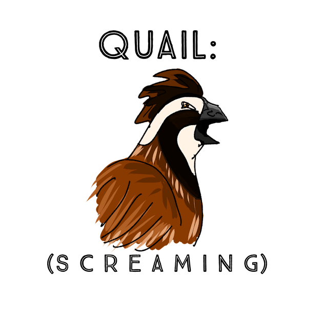 Screaming Quail by KatsMind