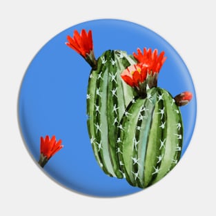 Cactus texture Pin