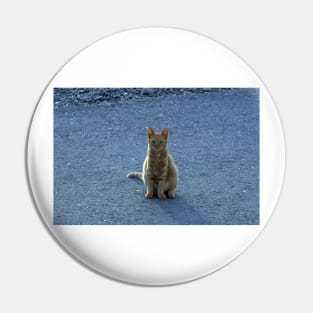 Ginger Cat Pin