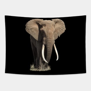 Elephant on Safari in Kenya / Africa Tapestry