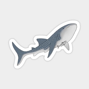 Whale Shark Magnet