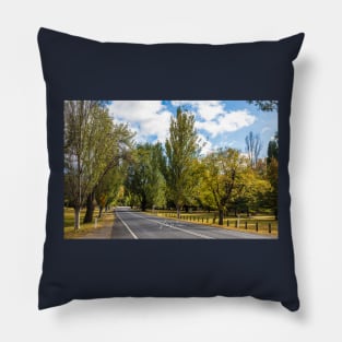 Mount Macedon Road, Mount Macedon, Victoria, Australia. Pillow