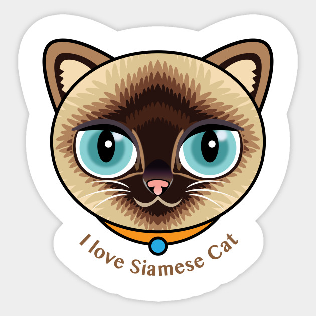I Love Siamese Cat Siamese Cat Sticker Teepublic