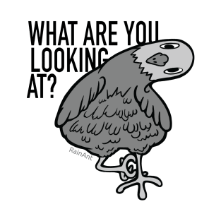 what are you looking at? Pigeon T-Shirt