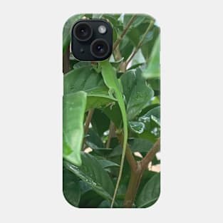 Green anole Phone Case