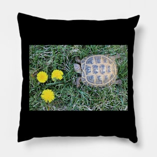 Tortoise and Dandelions Pillow