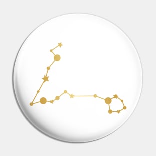 Pisces Zodiac Constellation in Gold Pin