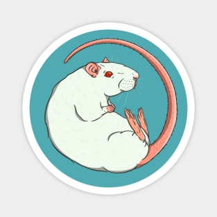 Pink Eyed White Fancy Rat Illustration Magnet