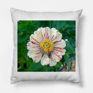 Zinnia Guest Pillow