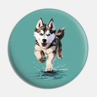 My dog Pin