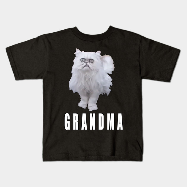 This Stray Cat Looks Like Grandma Meme Cat Kids T Shirt Teepublic