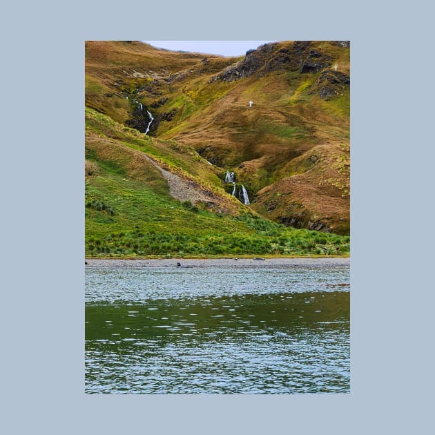 WATERFALL DOWN A GRASSY HILL by NATURE WILD