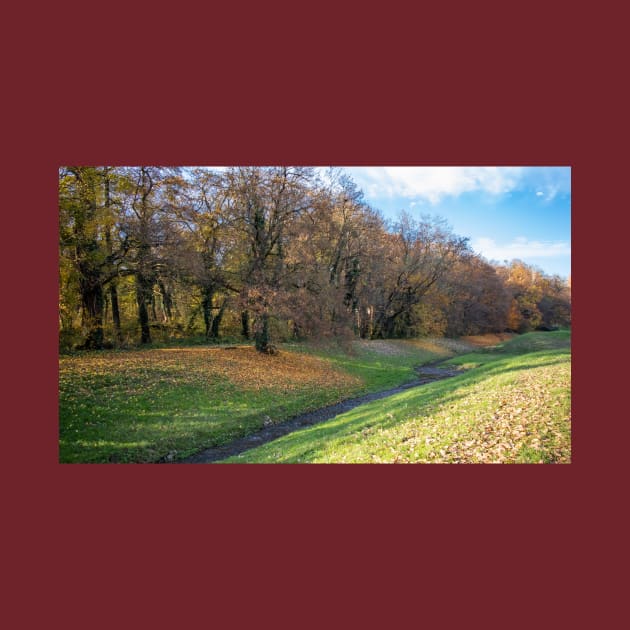 Small pond beside a forest in autumn with falling leaves by KargacinArt