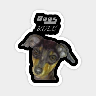 dogs rule Magnet