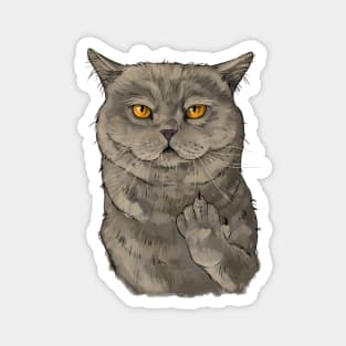 Cat middle finger Magnet