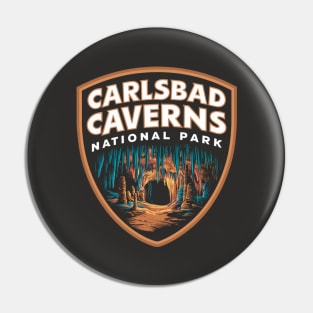 National Park Carlsbad Caverns Pin