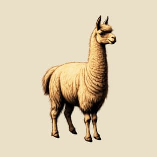 Llama T-Shirt