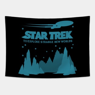 Star trek Tapestry