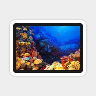 Oceanic Colored Coral Magnet