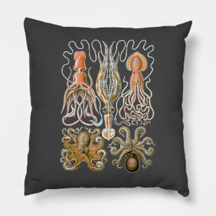 Ernst Haeckel Octopus Gamochonia Natural Pillow