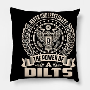 DILTS Pillow