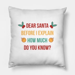 DEAR SANTA BEFORE I EXPLAIN HOW MUCH DO YOU KNOW Pillow