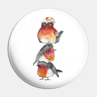 Red birds with eggs Pin